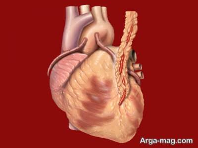 راه های تشخیص نارسایی قلبی 