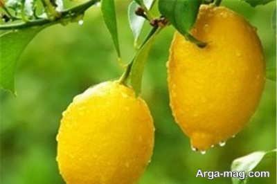 از فواید لیمو ترش بر روی پوست چه می دانید؟