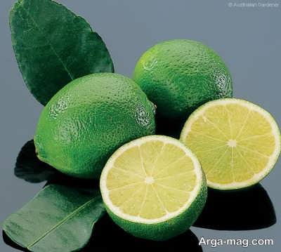 خاصیت های لیمو ترش بر روی پوست 