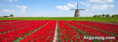هر آنچه لازم است از گرفتن ویزای هلند بدانید