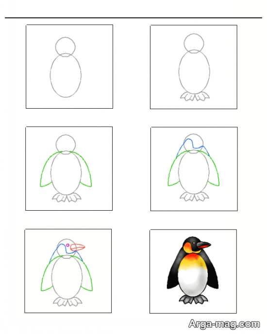 گام به گام در آموزش نقاشی پنگوئن برای کودکان 