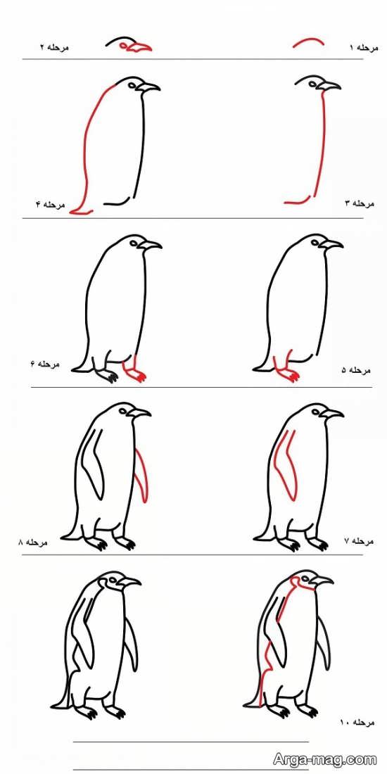 طرحی و نقاشی پنگوئن برای کودکان 