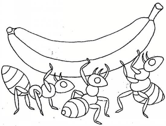 نقاشی مورچه و موز 