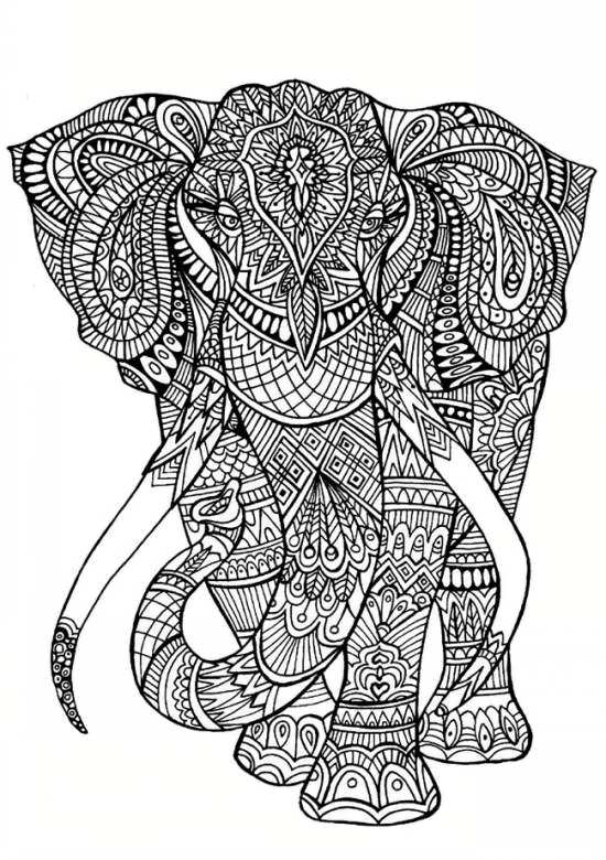 طرح رنگ آمیزی فیل