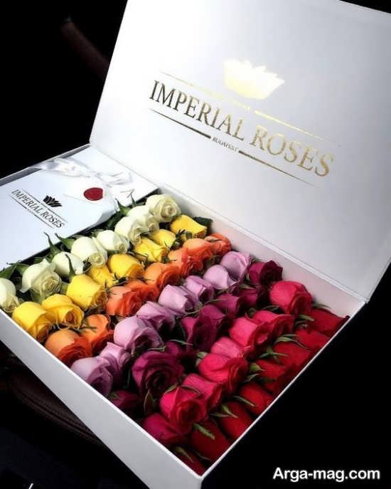 تزئین جعبه گل های ترکیبی