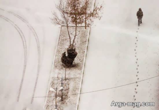 عکس زیبای هنری در روز برفی
