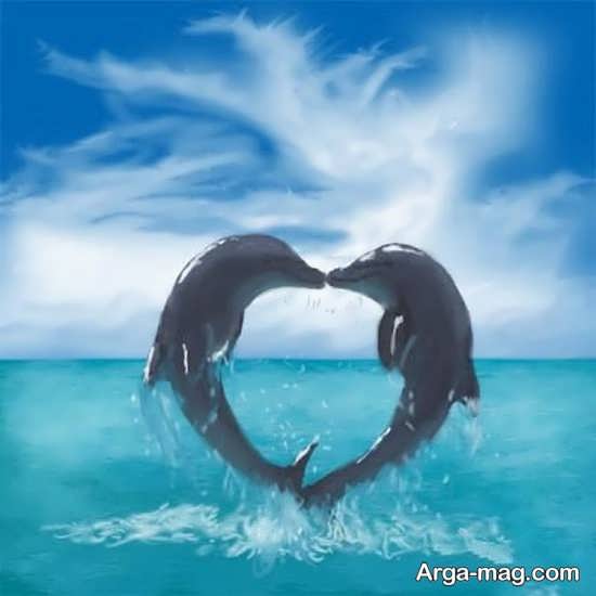 دلفین عشق
