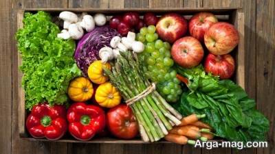 برنامه غذایی رژیم گیاه خواری