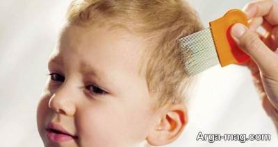 درمان گیاهی شپش سر در کودکان 