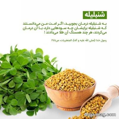 آشنایی با خواص شنبلیله برای مو 