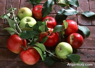 میوه های مهم و مفید برای بیماران دیابتی