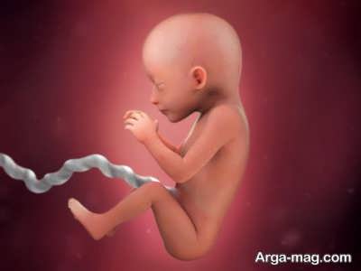 اطلاعات جامع از آنچه باید در مورد خون بند ناف جنین بدانید
