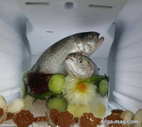 ماهی یخچال عروس با طراحی شیک