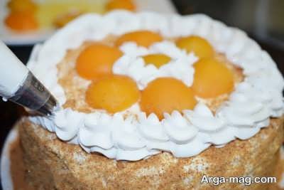 apricot-cake-12.jpg
