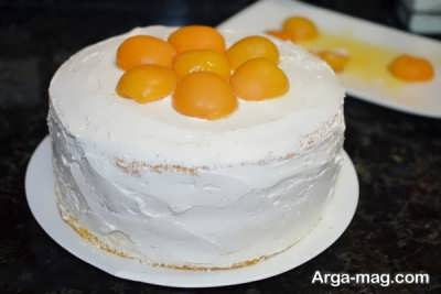 apricot-cake-15.jpg