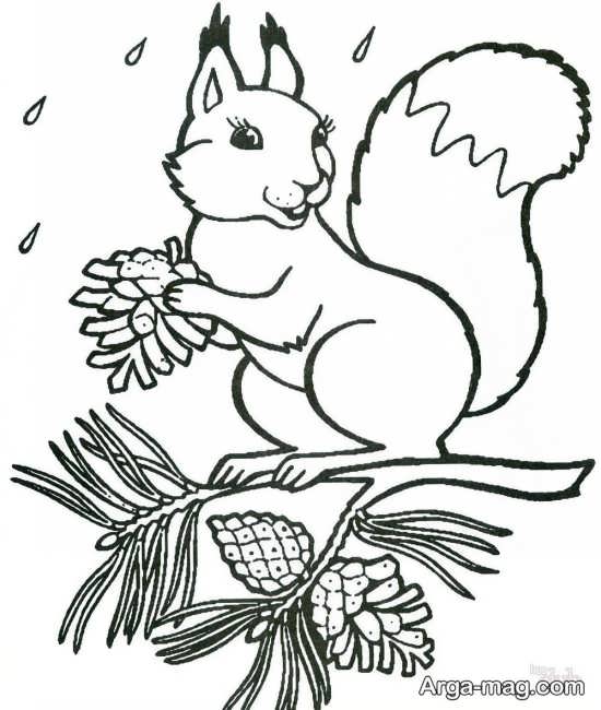 نقاشی جذاب سنجاب 