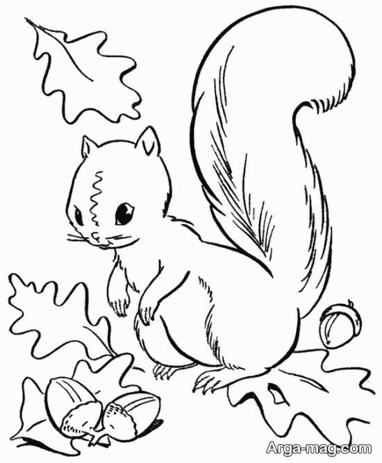 نقاشی زیبای سنجاب 