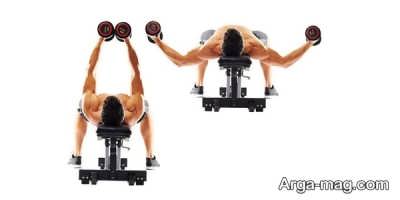 حرکات ورزشی بدنسازی برای تقویت عضله 