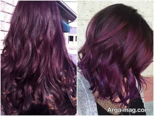 [تصویر:  Purple-Burgundy-hair-color-7.jpg]