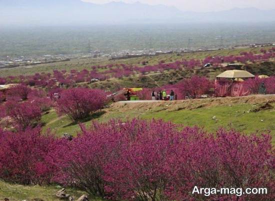 دیدنی های زیبای افغانستان 
