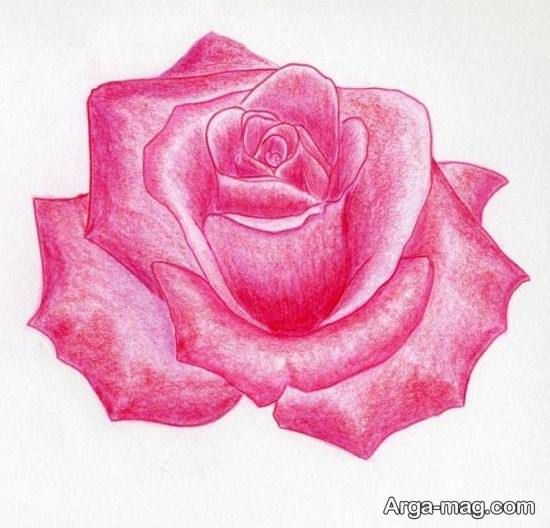 نقاشی گلبرگ رز