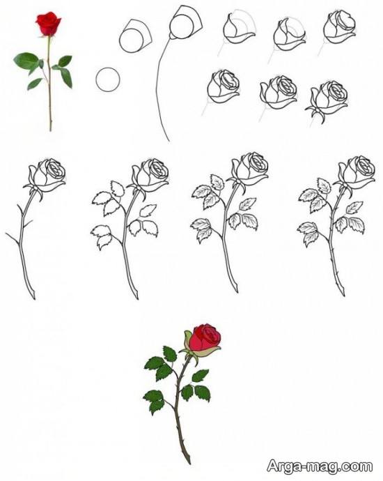 نقاشی گل رز برای کودک 