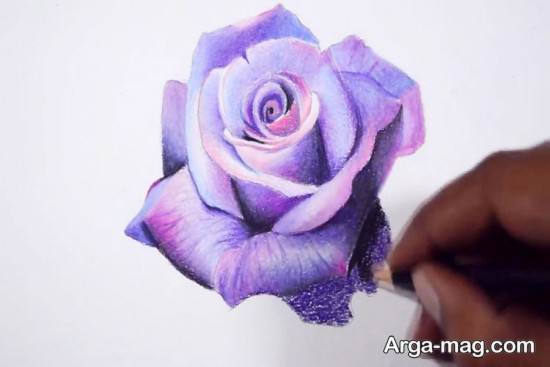 نقاشی گل رز جالب 