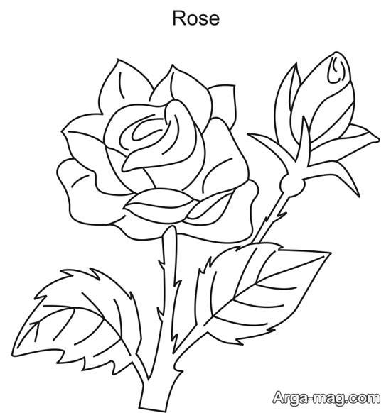 نقاشی گل رز ساده 