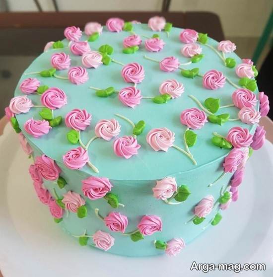 کیک تولد فانتزی برای خانم ها 