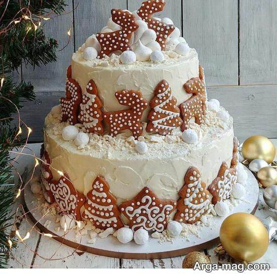 کیک دو طبقه تولد زنانه 