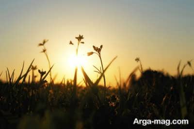 جمله های جالب در مورد زندگی 