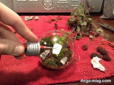 نحوه قرار دادن گیاه و کاشت ان در لامپ