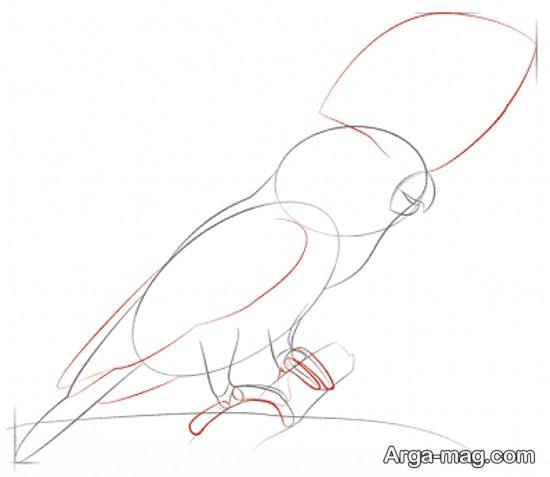 ایده نقاشی طوطی