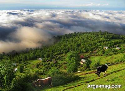  روستای پر جاذبه مازیچال