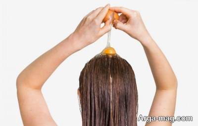 تقویت موثر ریشه مو