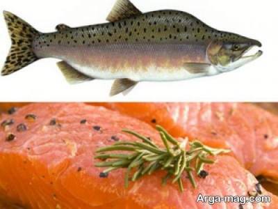 استفاده از ماهی سالمون