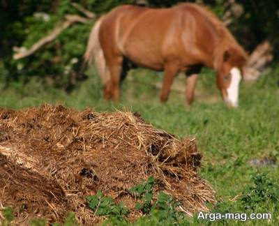 تقویت خاک باغچه با اسافاده از کود ها