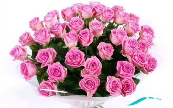 عکسی از دسته گل رز