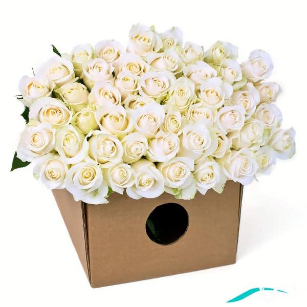 دسته گل رز سفید ناب