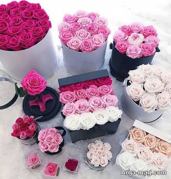 باکس گل رز رنگی