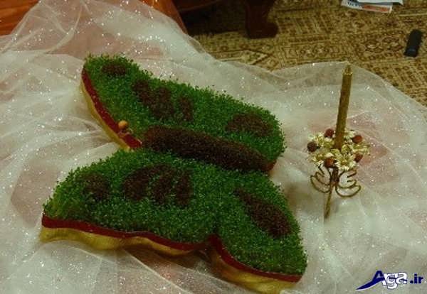 سبزه با خاکشیر