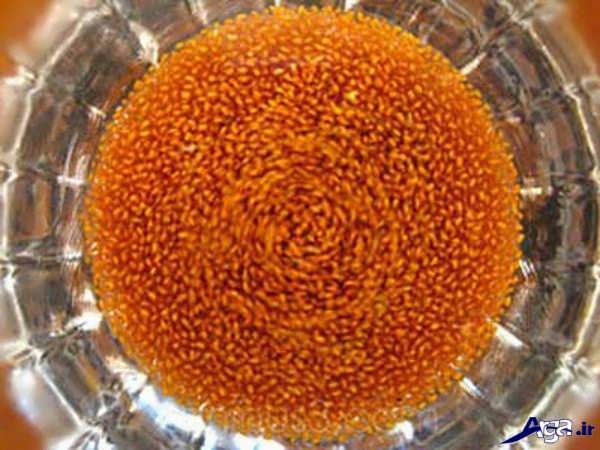 سبزه عید