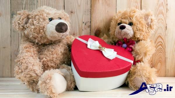 عکس عاشقانه عروسکی ولنتاین