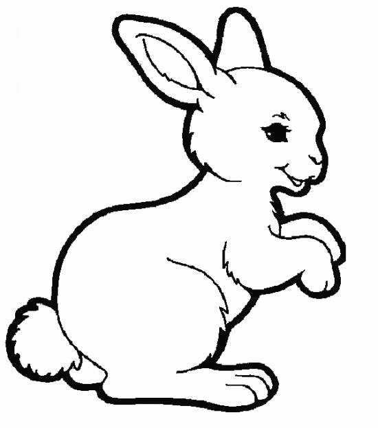 نقاشی ساده خرگوش