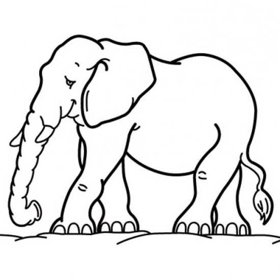 نقاشی فیل کودکانه