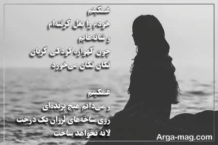 شعر مفهومی غمگین