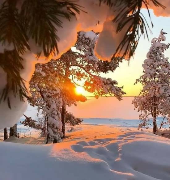 عکس طبیعت جدید برای پروفایل