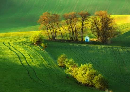 عکس طبیعت ناب برای پروفایل