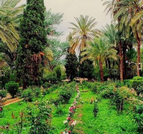 بهترین عکس منظره برای پروفایل