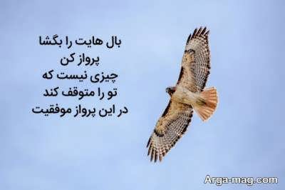 پیام های کوتاه برای دوست